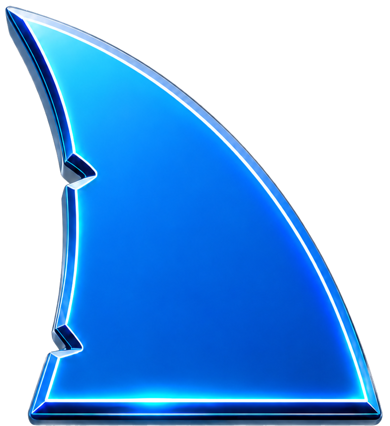 Sharks Fin